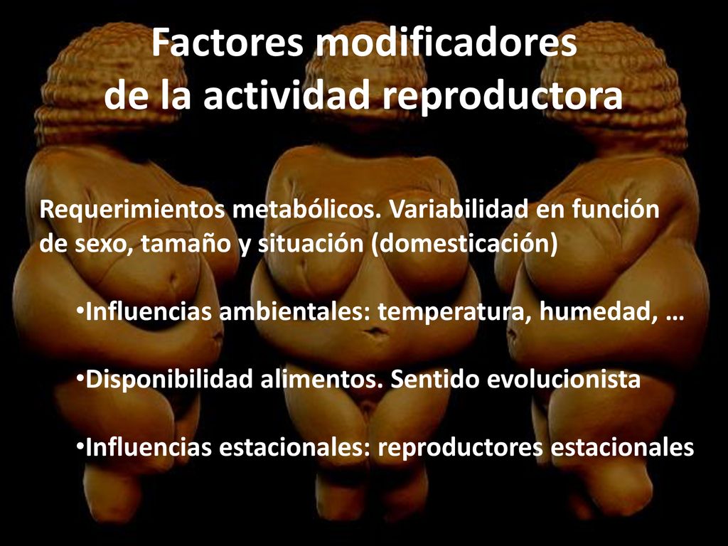 Factores modificadores de la actividad reproductora