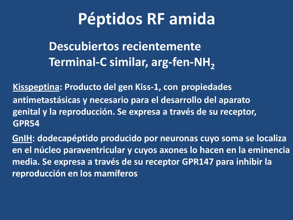 Péptidos RF amida Descubiertos recientemente. Terminal-C similar, arg-fen-NH2. Kisspeptina: Producto del gen Kiss-1, con propiedades.