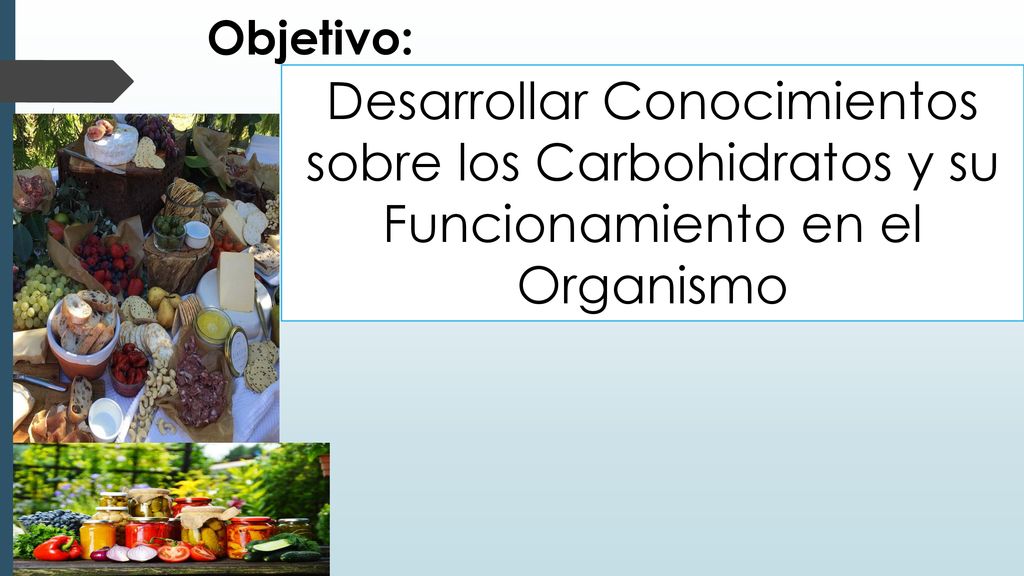 Objetivo: Desarrollar Conocimientos sobre los Carbohidratos y su Funcionamiento en el Organismo