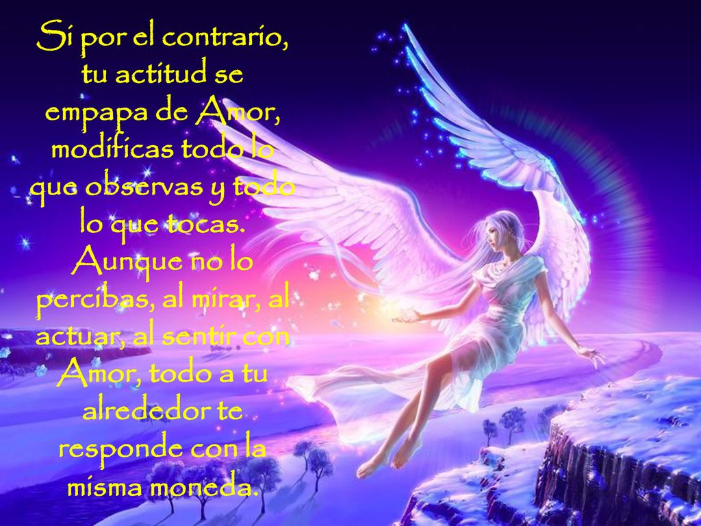 Si por el contrario, tu actitud se empapa de Amor, modificas todo lo que observas y todo lo que tocas.