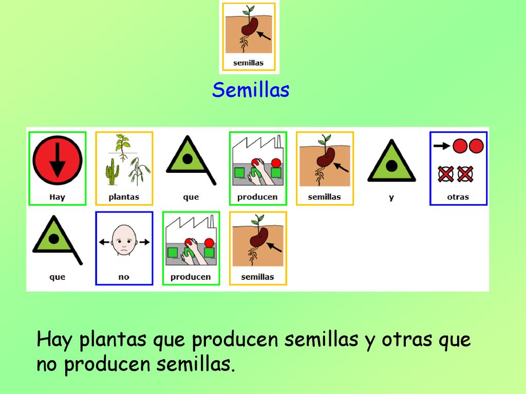 Semillas Hay plantas que producen semillas y otras que no producen semillas.