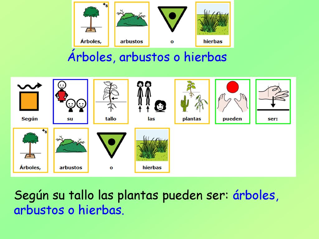 3º de Primaria. - ppt descargar