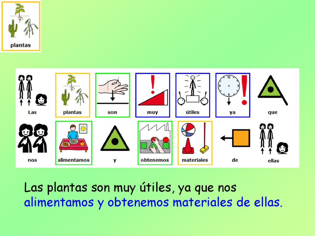 Las plantas son muy útiles, ya que nos alimentamos y obtenemos materiales de ellas.