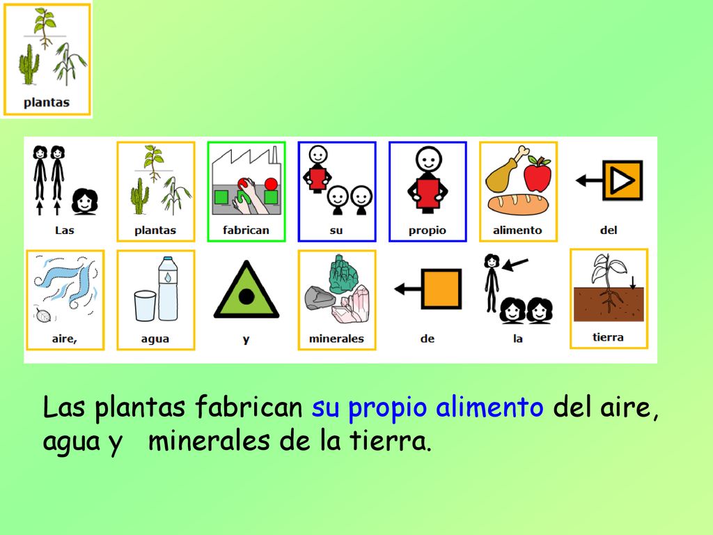 Las plantas fabrican su propio alimento del aire, agua y minerales de la tierra.