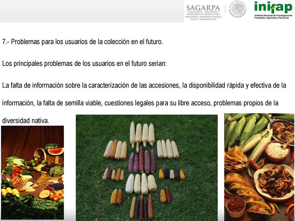 7.- Problemas para los usuarios de la colección en el futuro.