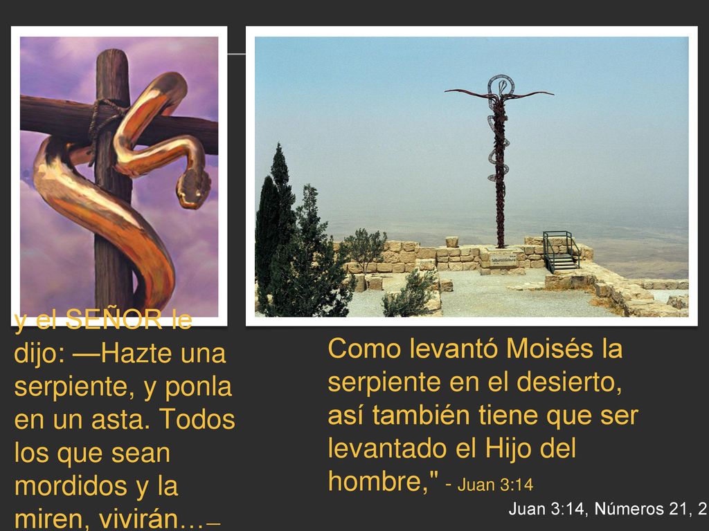 y el SEÑOR le dijo: —Hazte una serpiente, y ponla en un asta