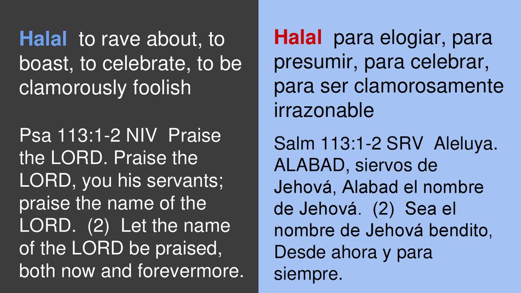 Halal to rave about, to boast, to celebrate, to be clamorously foolish