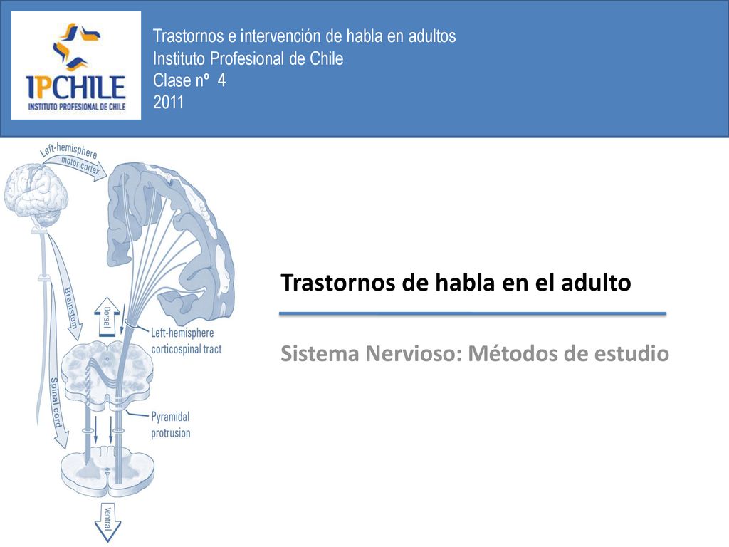 Trastornos de habla en el adulto Sistema Nervioso: Métodos de estudio