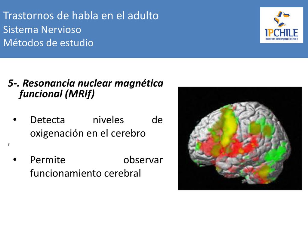 Trastornos de habla en el adulto Sistema Nervioso Métodos de estudio