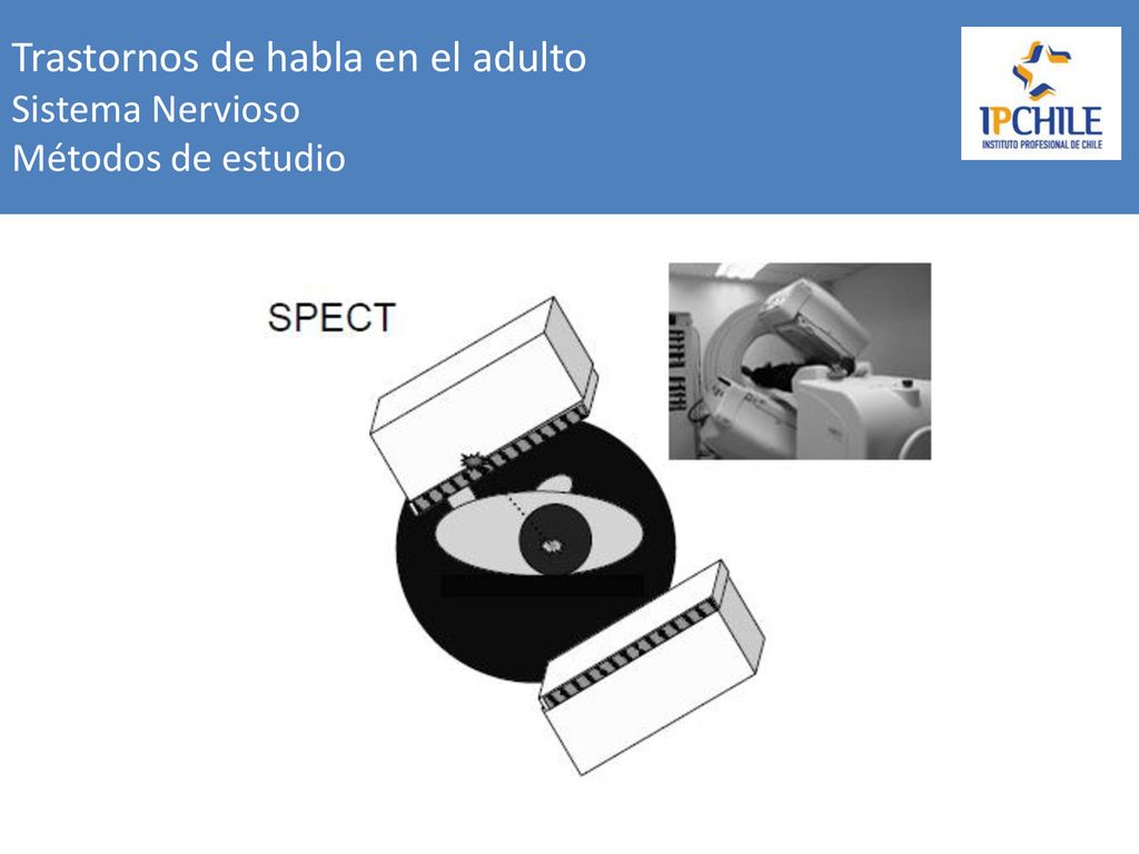 Trastornos de habla en el adulto Sistema Nervioso Métodos de estudio