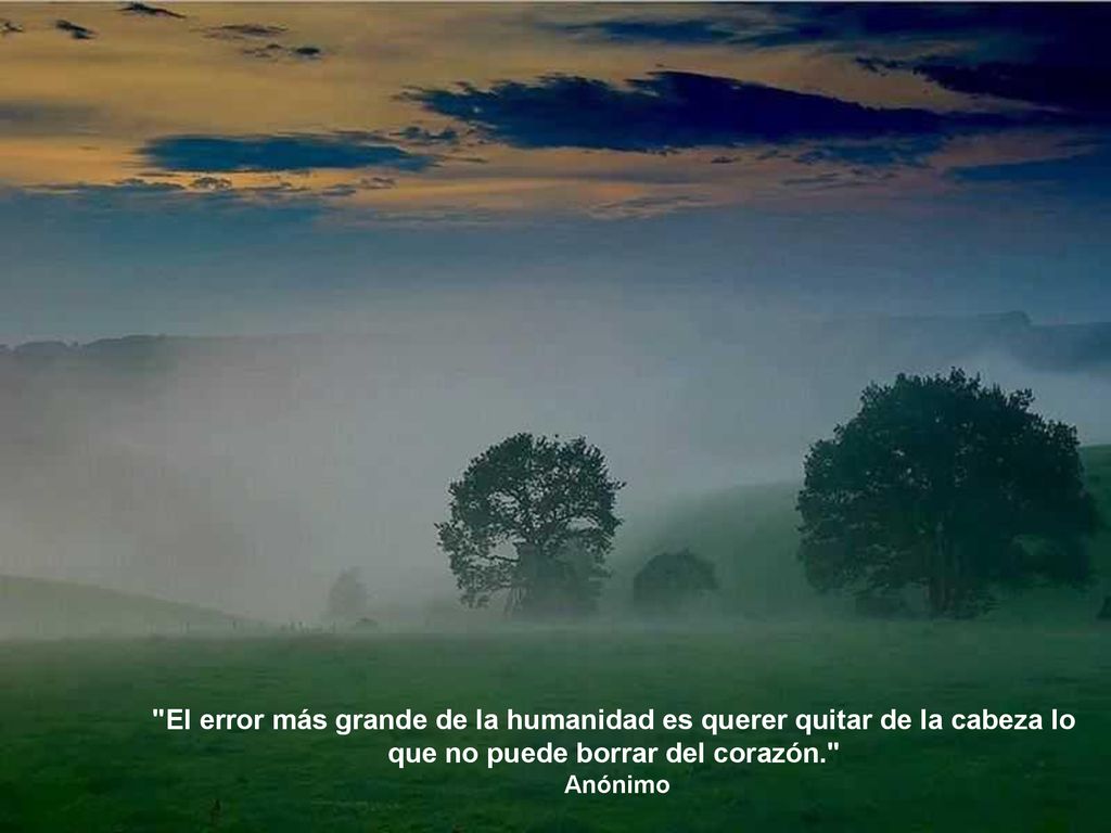 El error más grande de la humanidad es querer quitar de la cabeza lo que no puede borrar del corazón.