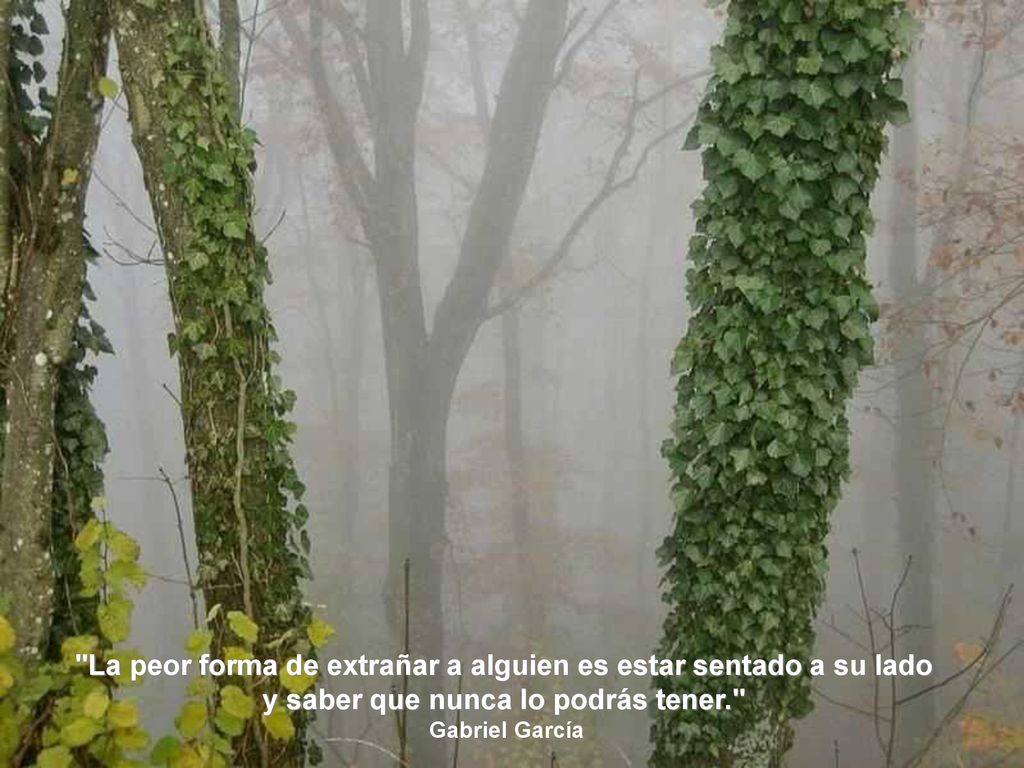 La peor forma de extrañar a alguien es estar sentado a su lado y saber que nunca lo podrás tener.