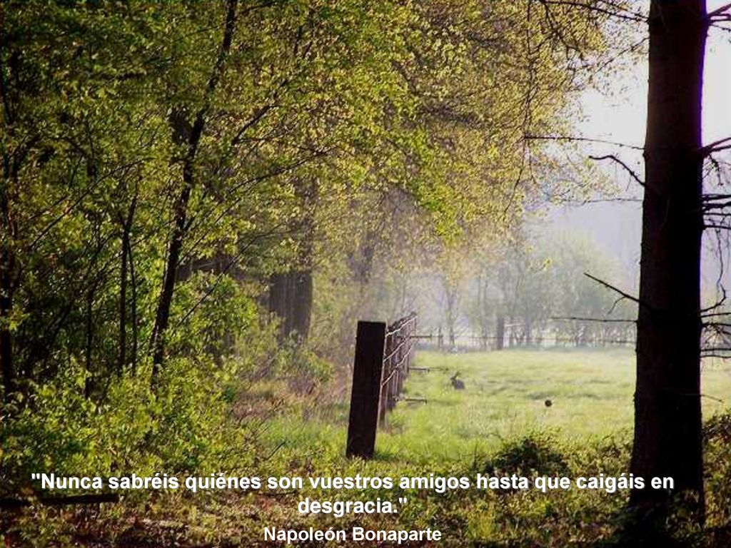 Nunca sabréis quiénes son vuestros amigos hasta que caigáis en desgracia.