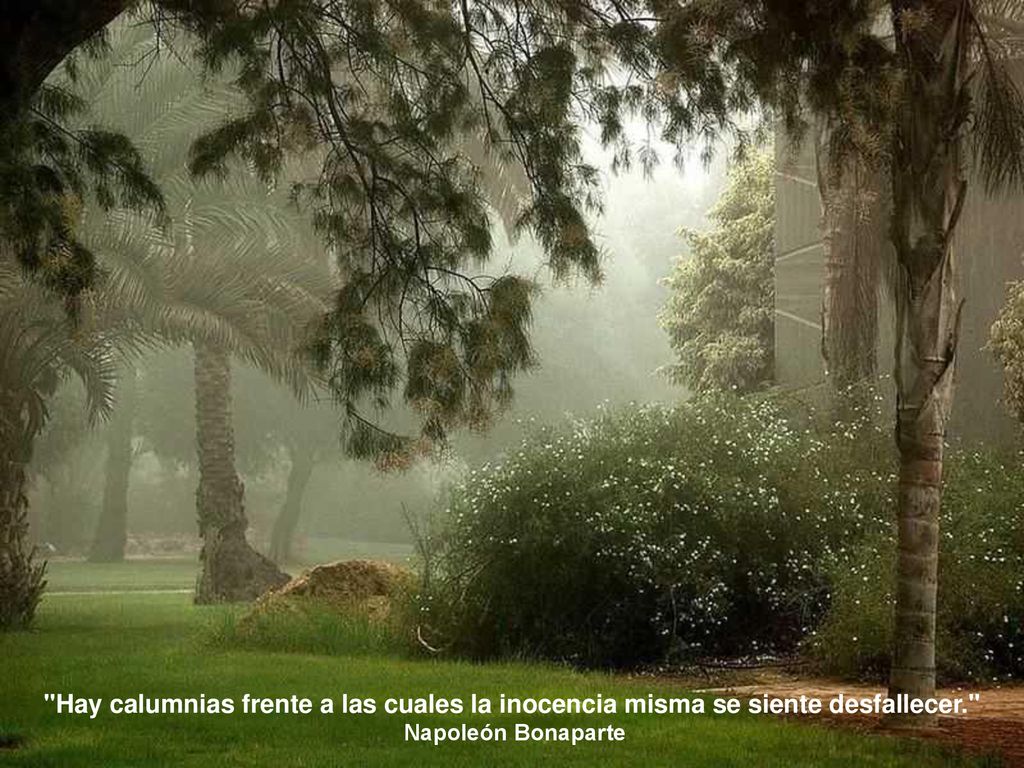 Hay calumnias frente a las cuales la inocencia misma se siente desfallecer.