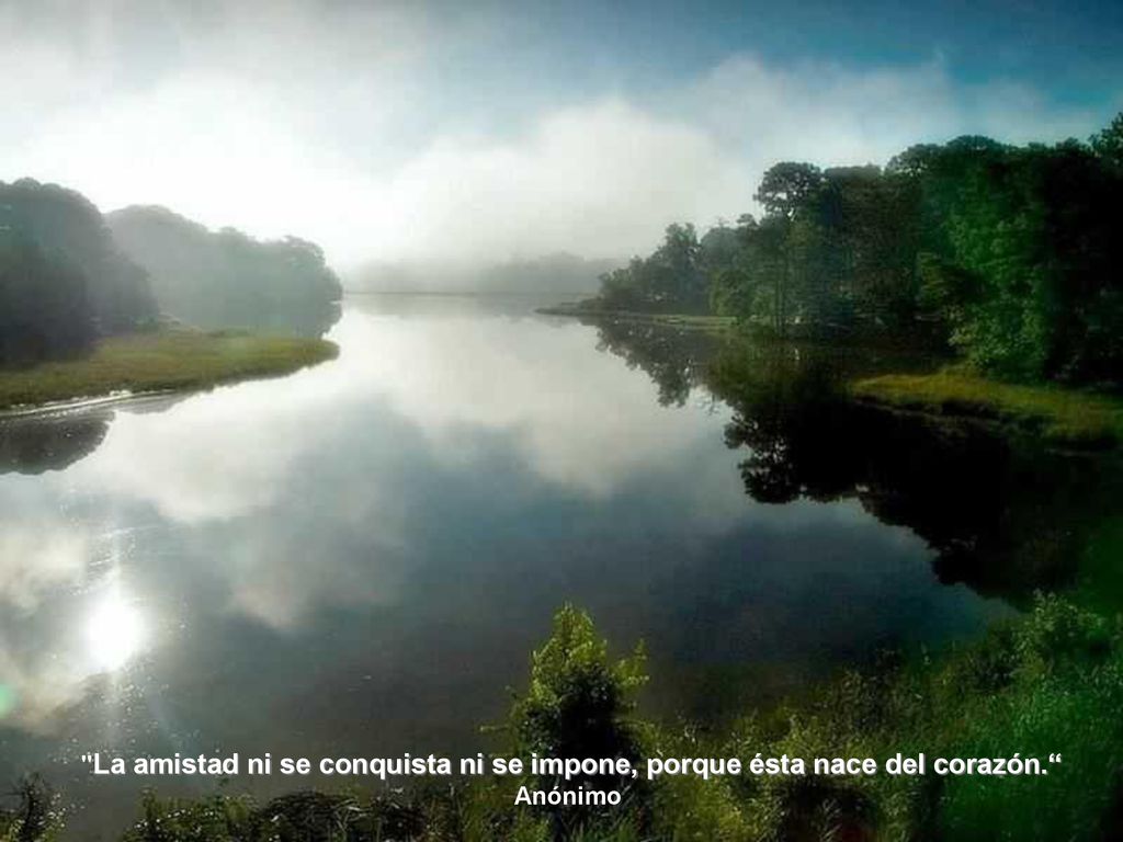 La amistad ni se conquista ni se impone, porque ésta nace del corazón