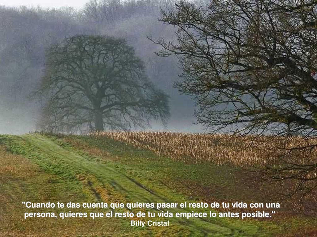 Cuando te das cuenta que quieres pasar el resto de tu vida con una persona, quieres que el resto de tu vida empiece lo antes posible.