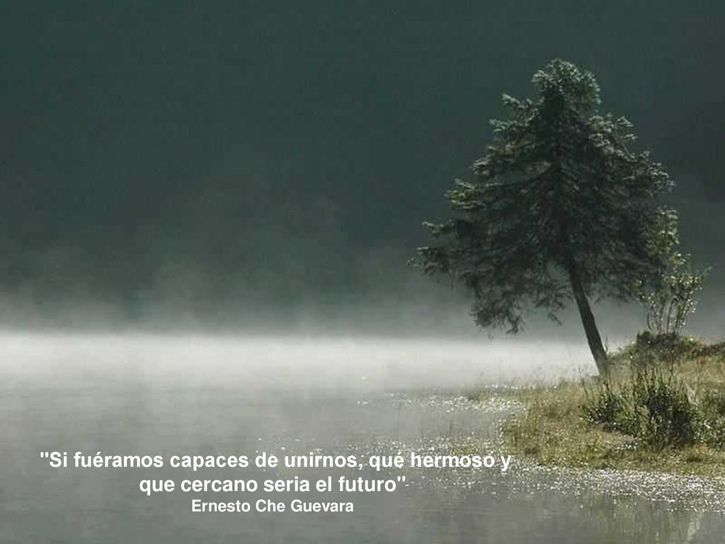 Si fuéramos capaces de unirnos, qué hermoso y que cercano seria el futuro
