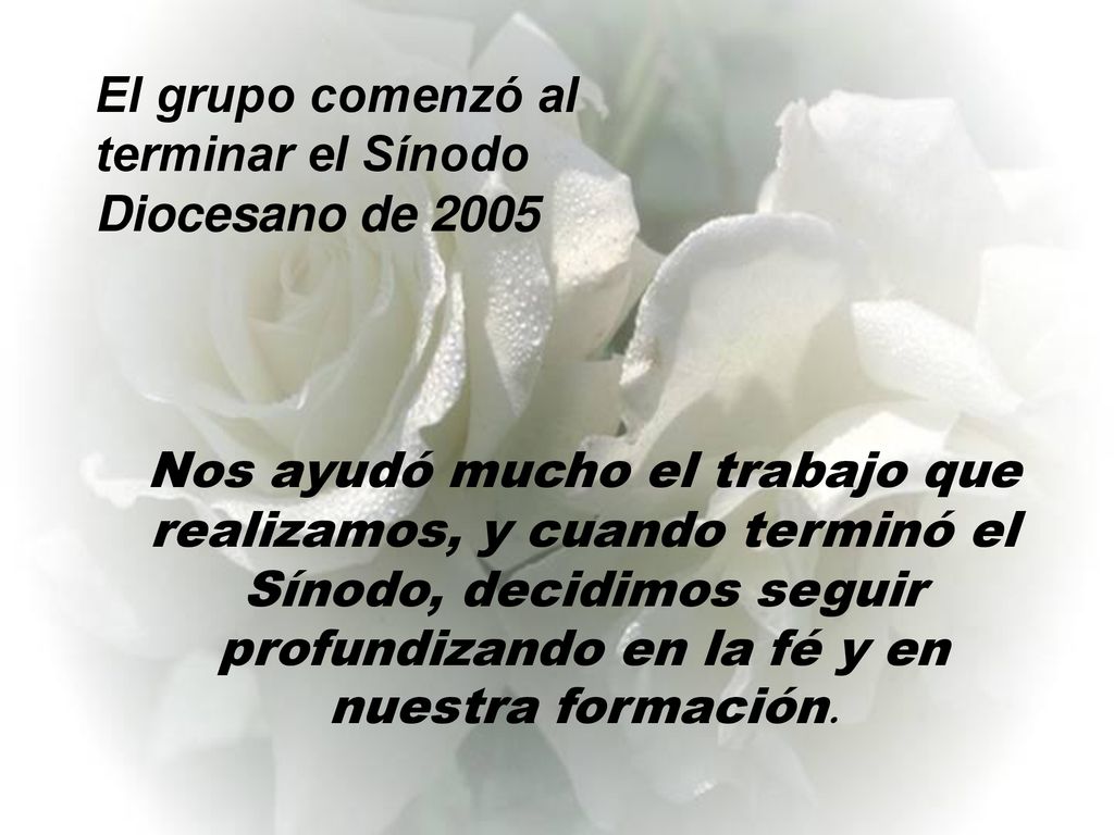 El grupo comenzó al terminar el Sínodo Diocesano de 2005
