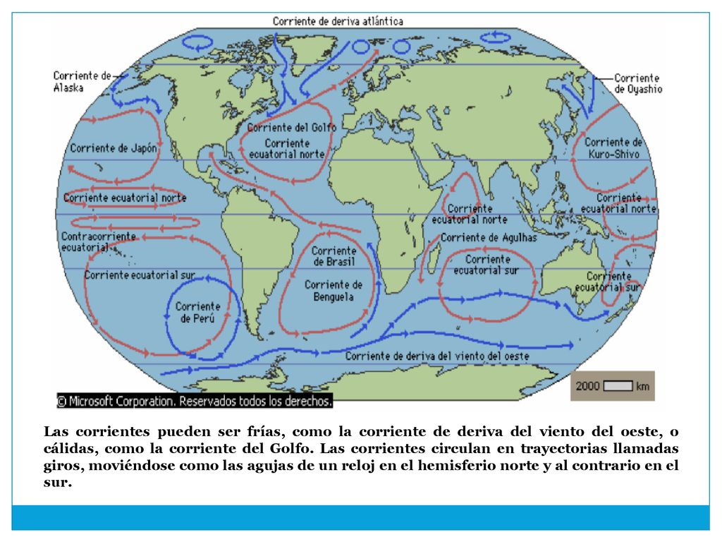 Las corrientes pueden ser frías, como la corriente de deriva del viento del oeste, o cálidas, como la corriente del Golfo.