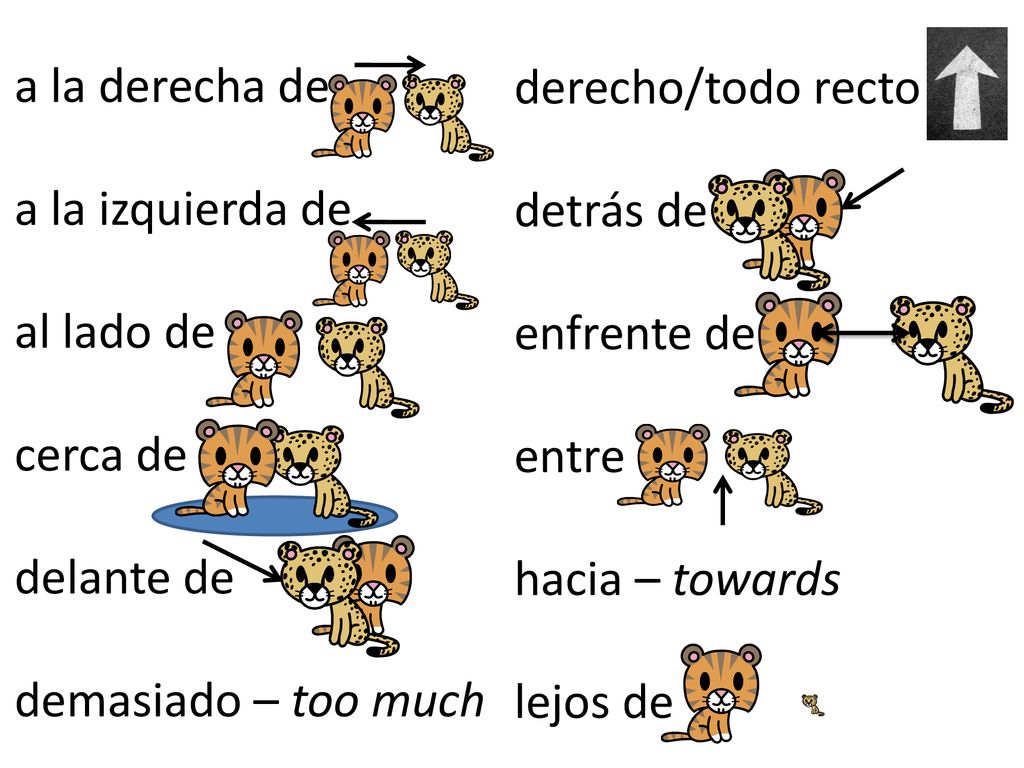 a la derecha de a la izquierda de. al lado de. cerca de. delante de. demasiado – too much. derecho/todo recto.