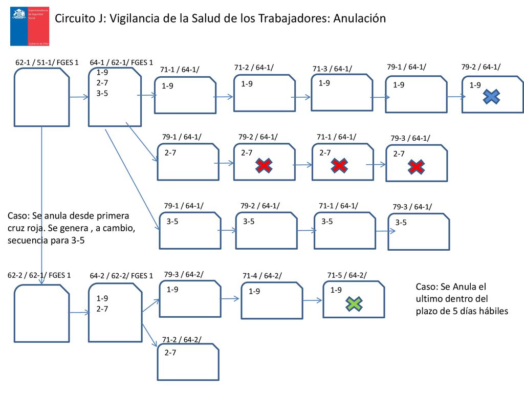 Circuito J: Vigilancia de la Salud de los Trabajadores: Anulación