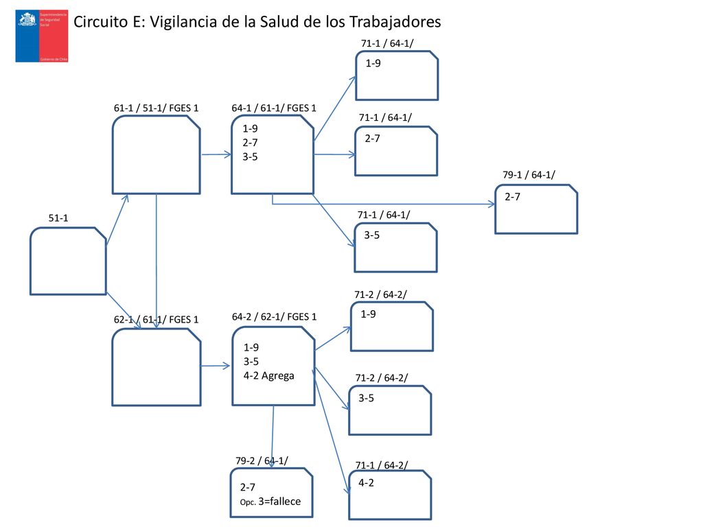 Circuito E: Vigilancia de la Salud de los Trabajadores