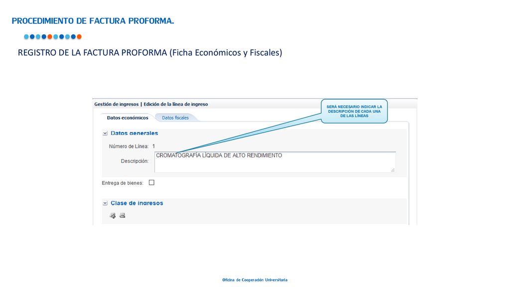 SERÁ NECESARIO INDICAR LA DESCRIPCIÓN DE CADA UNA DE LAS LÍNEAS