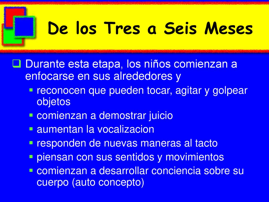 De los Tres a Seis Meses Durante esta etapa, los niños comienzan a enfocarse en sus alrededores y.
