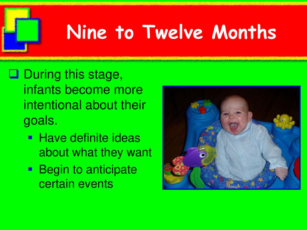 Nine to Twelve Months During this stage, infants become more intentional about their goals. Have definite ideas about what they want.