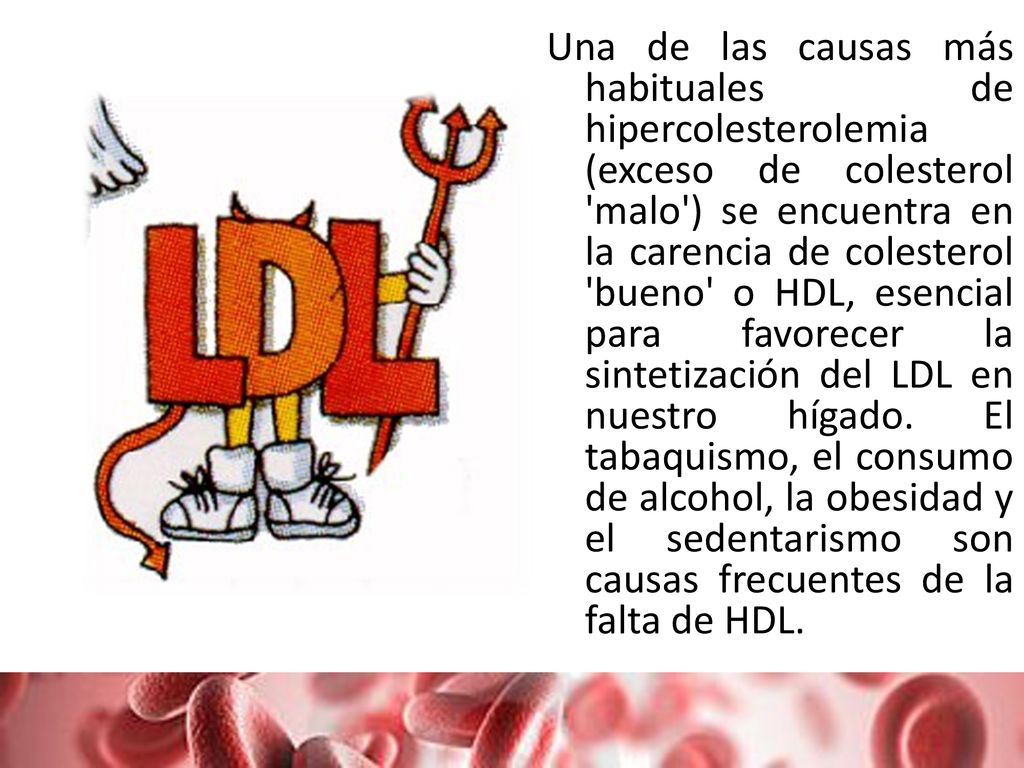 Una de las causas más habituales de hipercolesterolemia (exceso de colesterol malo ) se encuentra en la carencia de colesterol bueno o HDL, esencial para favorecer la sintetización del LDL en nuestro hígado.