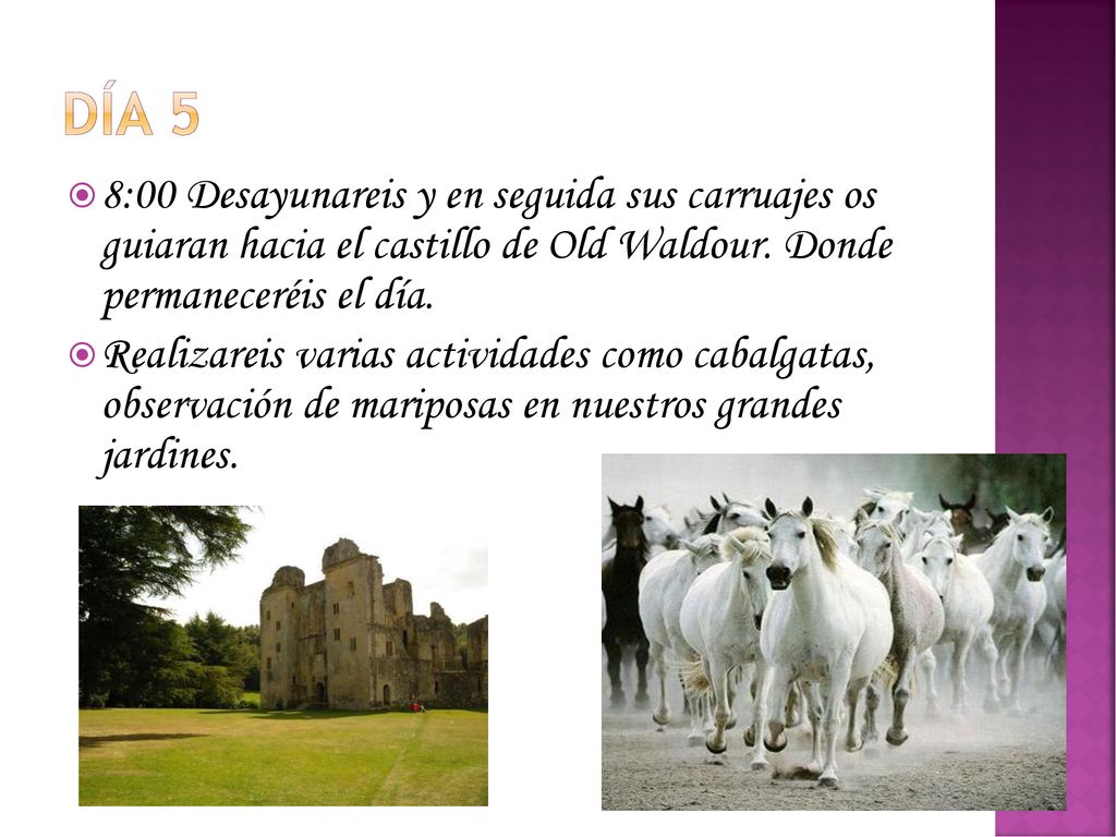 Día 5 8:00 Desayunareis y en seguida sus carruajes os guiaran hacia el castillo de Old Waldour. Donde permaneceréis el día.