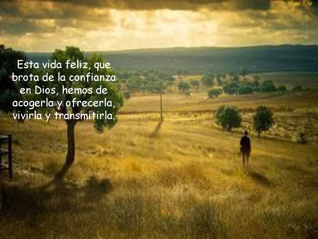 Esta vida feliz, que brota de la confianza en Dios, hemos de acogerla y ofrecerla, vivirla y transmitirla.