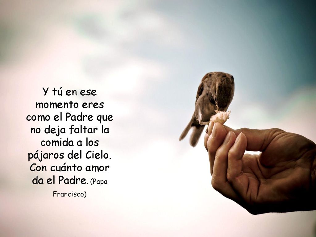 Y tú en ese momento eres como el Padre que no deja faltar la comida a los pájaros del Cielo.