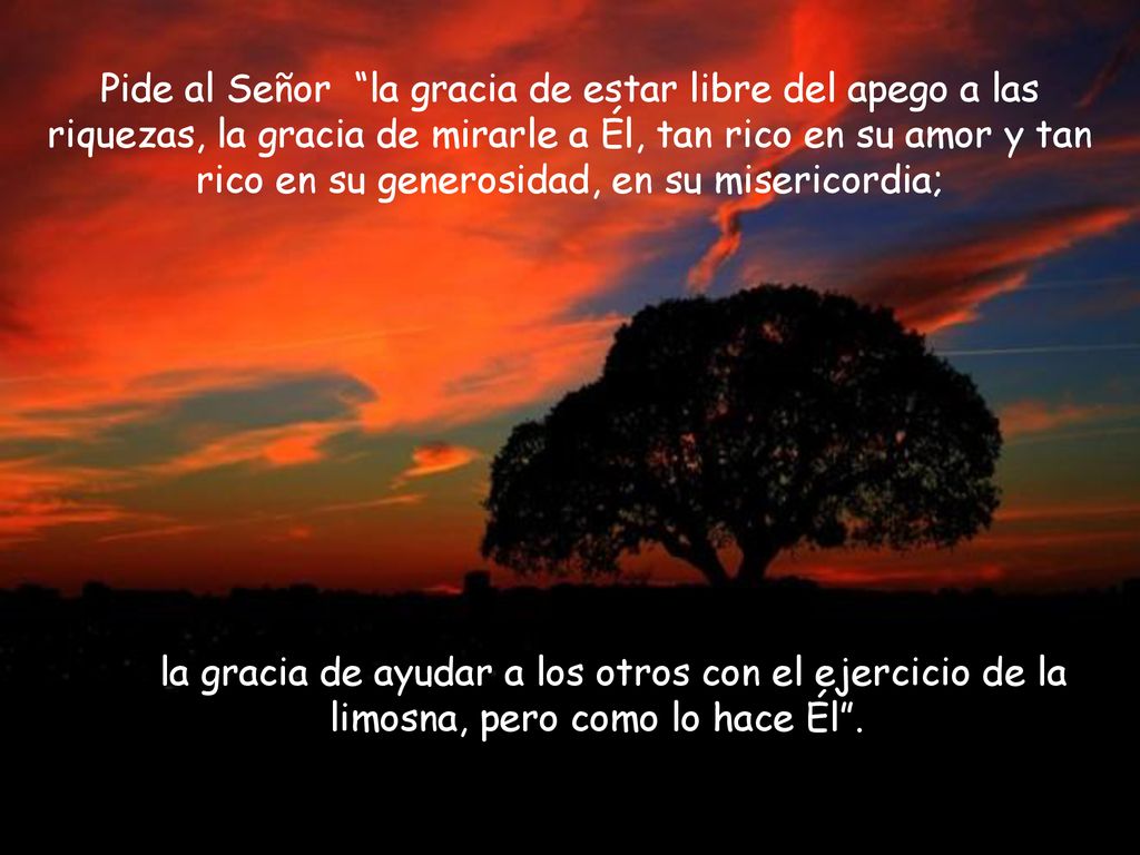 Pide al Señor la gracia de estar libre del apego a las riquezas, la gracia de mirarle a Él, tan rico en su amor y tan rico en su generosidad, en su misericordia;