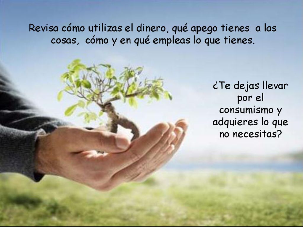 ¿Te dejas llevar por el consumismo y adquieres lo que no necesitas