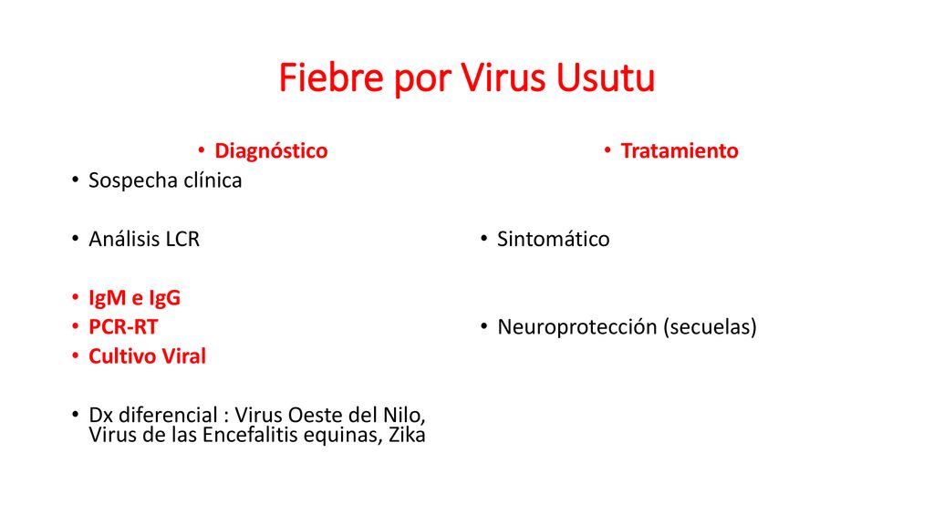 Fiebre por Virus Usutu Diagnóstico Sospecha clínica Análisis LCR