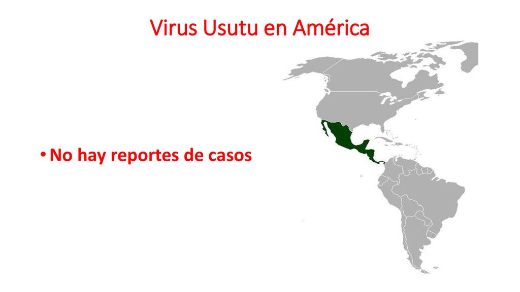 Virus Usutu en América No hay reportes de casos
