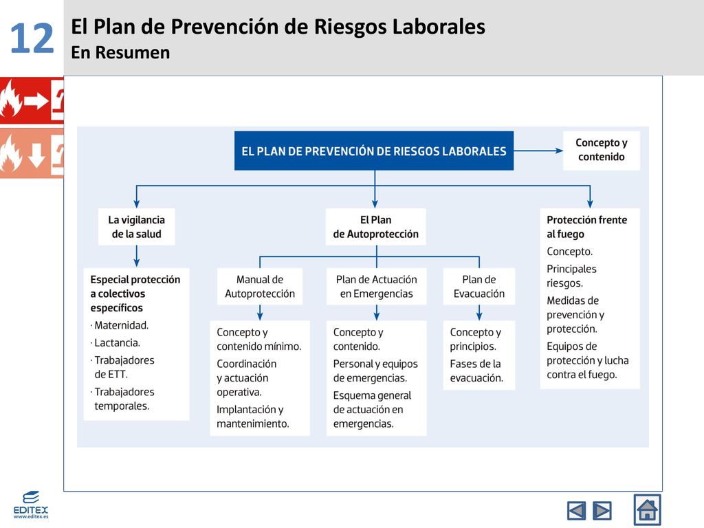 12 El Plan de Prevención de Riesgos Laborales En Resumen