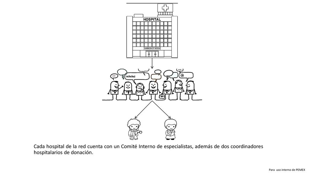 Cada hospital de la red cuenta con un Comité Interno de especialistas, además de dos coordinadores hospitalarios de donación.