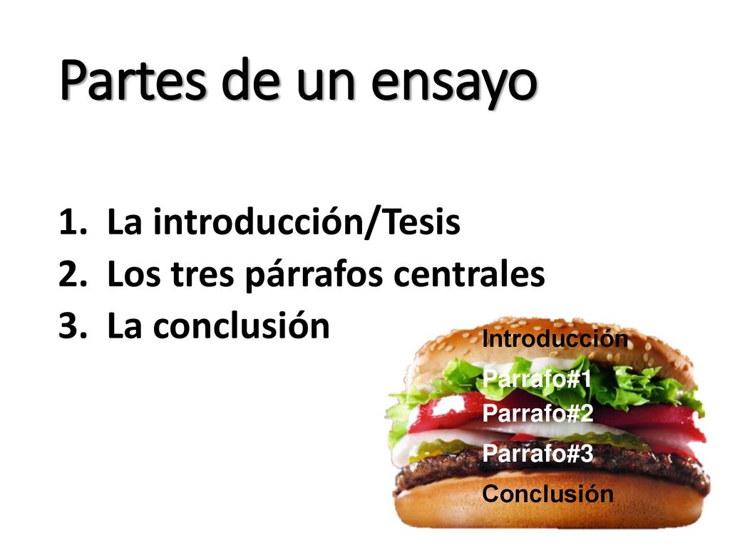 Partes de un ensayo La introducción/Tesis Los tres párrafos centrales