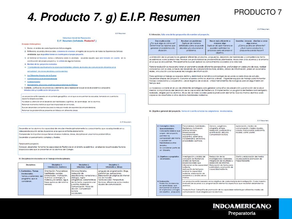 4. Producto 7. g) E.I.P. Resumen