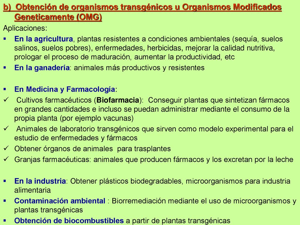 b) Obtención de organismos transgénicos u Organismos Modificados Geneticamente (OMG)