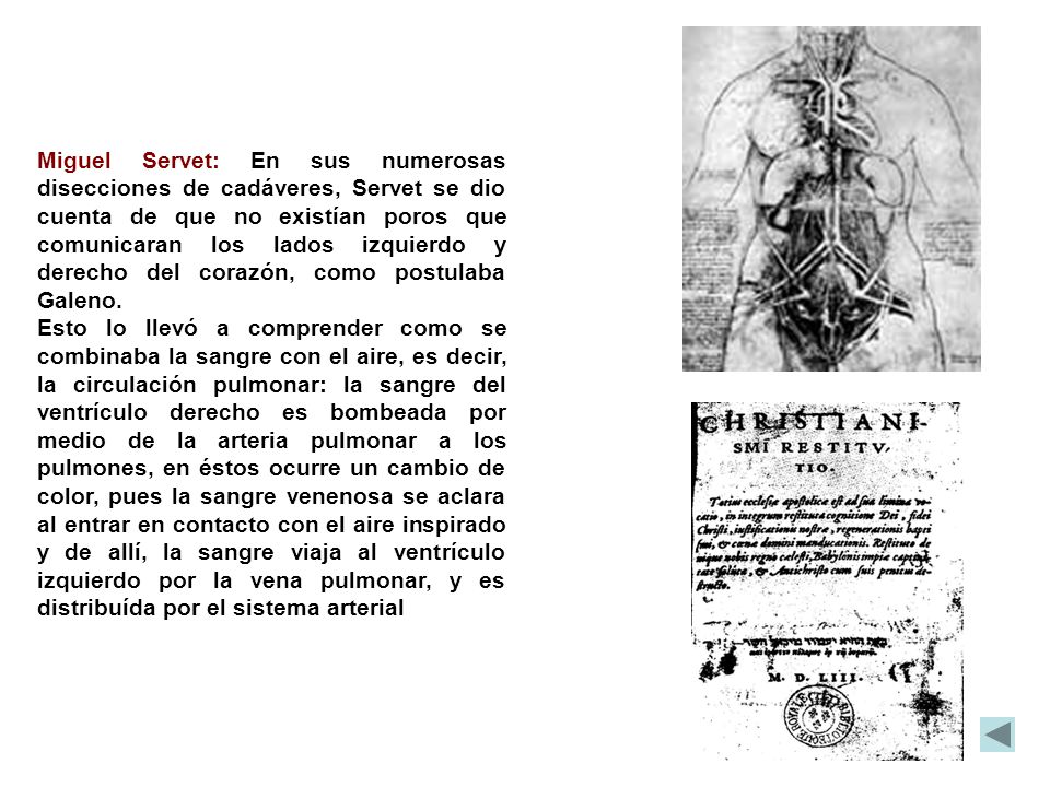Miguel Servet: En sus numerosas disecciones de cadáveres, Servet se dio cuenta de que no existían poros que comunicaran los lados izquierdo y derecho del corazón, como postulaba Galeno.