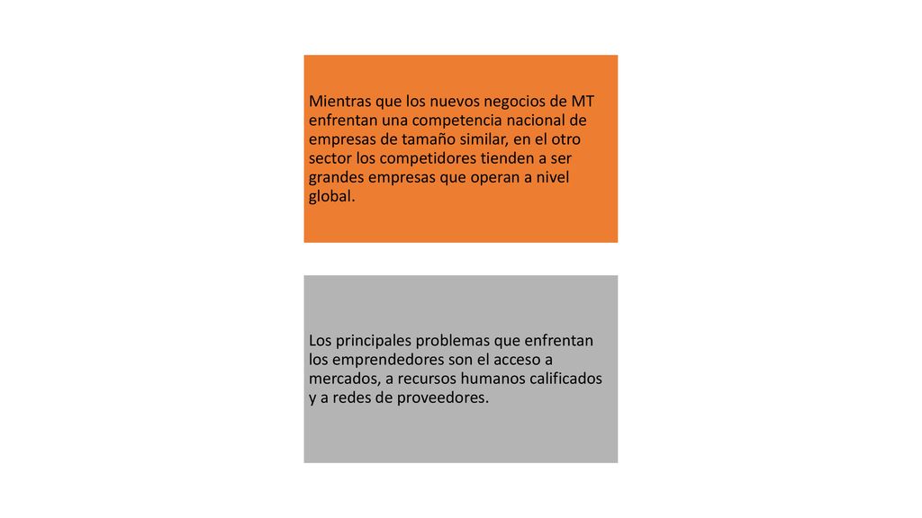 Mientras que los nuevos negocios de MT enfrentan una competencia nacional de empresas de tamaño similar, en el otro sector los competidores tienden a ser grandes empresas que operan a nivel global.
