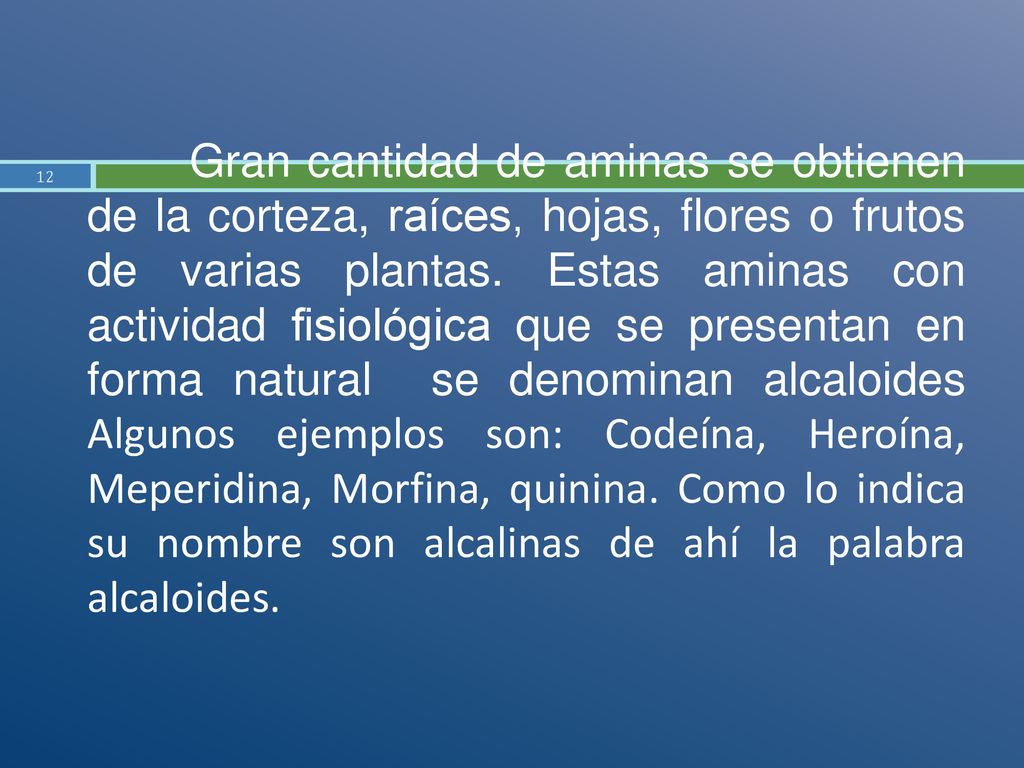 Gran cantidad de aminas se obtienen de la corteza, raíces, hojas, flores o frutos de varias plantas.