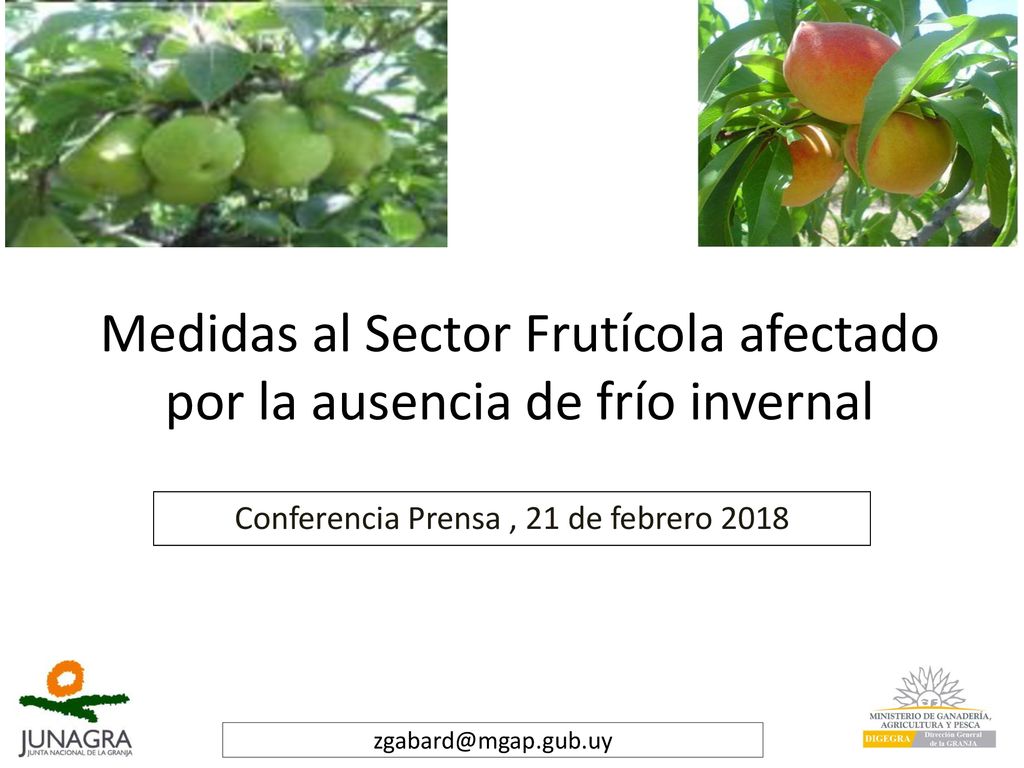 Medidas al Sector Frutícola afectado por la ausencia de frío invernal