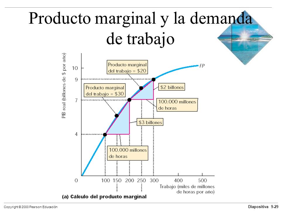 Producto marginal y la demanda de trabajo