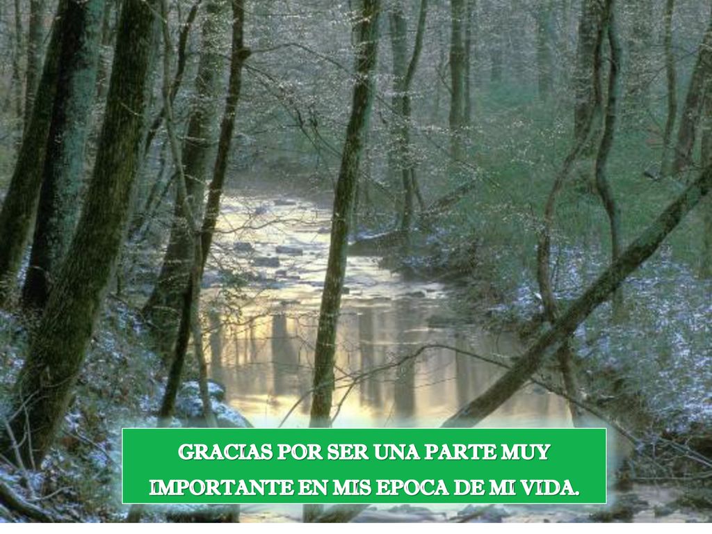 GRACIAS POR SER UNA PARTE MUY IMPORTANTE EN MIS EPOCA DE MI VIDA.