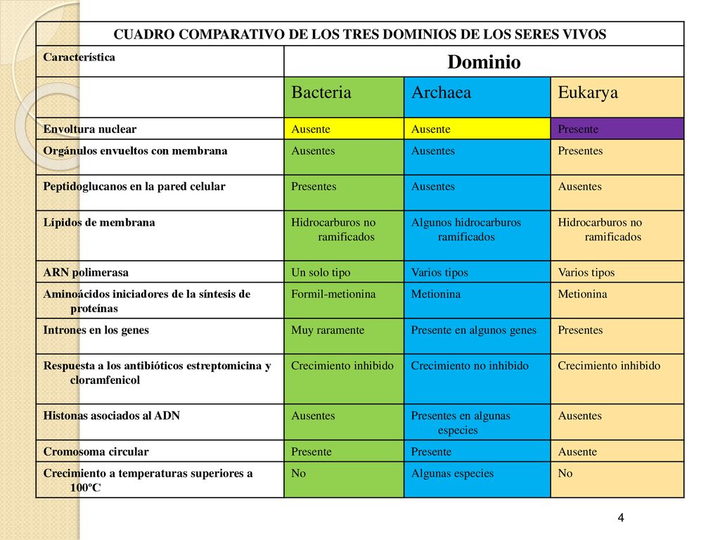 CUADRO COMPARATIVO DE LOS TRES DOMINIOS DE LOS SERES VIVOS