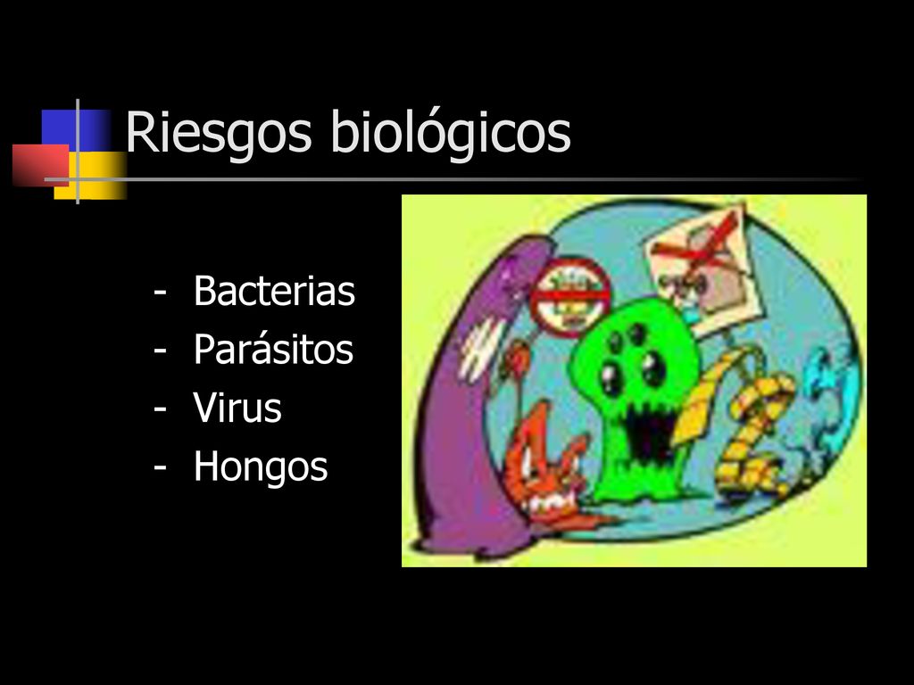 Riesgos biológicos - Bacterias - Parásitos - Virus - Hongos